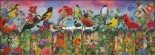 HAED HAEAIS 49291 Birds Blooms Garden by Aimee Stewart
