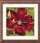 I Love Crossstitch ILCS SW003 rosa odorada XSD