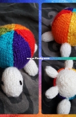 Rainbow Turtle
