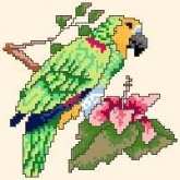ASN 3710 Amazon Parrot xsd + pcs