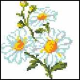 Alisa 0-42 Daisies xsd + pcs