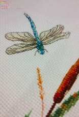 My dragonfly :'3