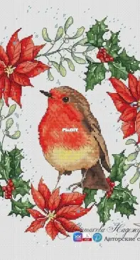 Winter Stories - Robin by Nadezhda Mashtakova XSD