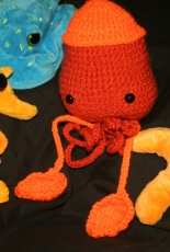 Creature of the sea!