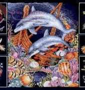 Anchor - APC912 - Wonders of the Reef XSD