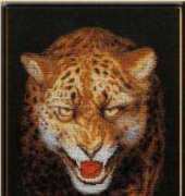 Zolotoe Runo HC-002 Night Savannah - Leopard