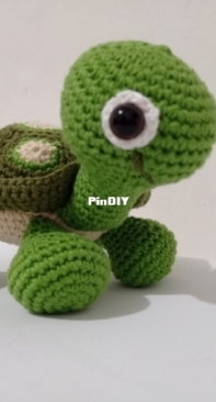 Baby Turtle