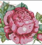 The Ultimate Rose by Barbara Baatz from American School of Needlework ASN3666 The Ultimate Book of Roses XSD