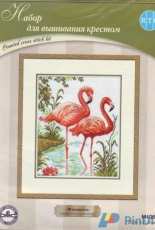 RTO M106 - Flamingos