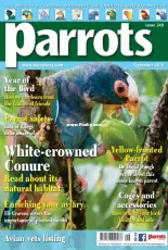 Parrots - September 2018