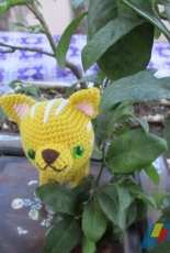 Yellow Kitten