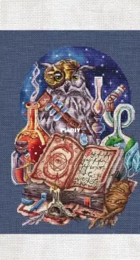 Owl Alchemist by Eva Stitch