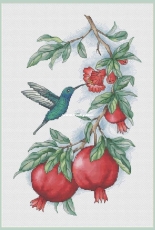 Pomegranates by Ksenia Voznesenskaya