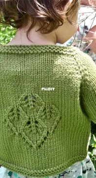 PC72 Alberta Clipper Cardigan Pattern Download