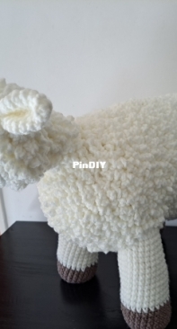 Sheep xxl