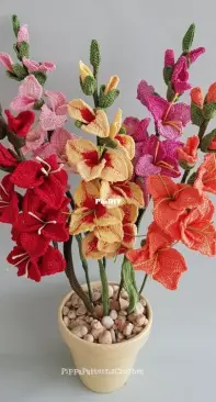 Pippa Patterns - Connie Rockliff - Gladiolus