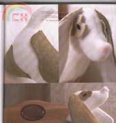 Almofada de cachorro