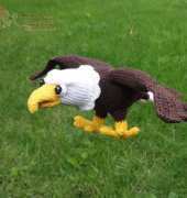 IlDikko - Ildikó Strüning - Sam the Eagle