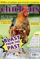 Your Chickens - October 2018