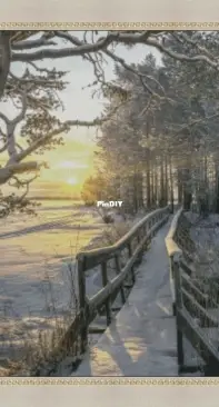 Frosty Morning by Irina Sumarokova