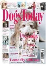 Dogs Today-UK-July-2015
