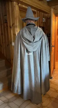 Gandalf the Grey dress and cloak