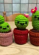 Cactus Trio
