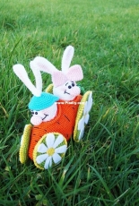 Carrot Vehicle