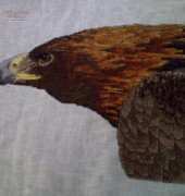 finished stitching - eagle