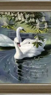 Levron- Tenderness of swans xsd