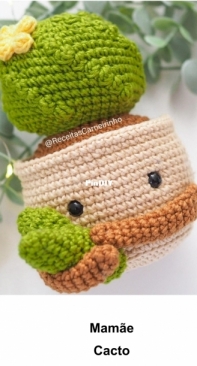 Receitas Carneirinho - Izabel Carneiro - Mommy Cactus -  Mamãe Cacto - Portuguese
