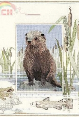 Derwentwater design - Wildlife - Otter
