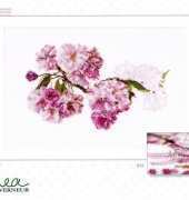 Thea Gouverneur TG Blossom 512 xsd