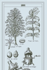 Thea Gouverneur 3028 - Coffee Makings