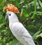 CaroCreated - Carola Herbst - White Cockatoo