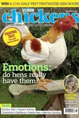 Your Chickens - May 2018