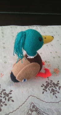 Duck
