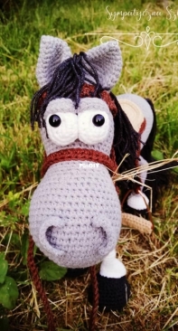 Lucky the Horse :)