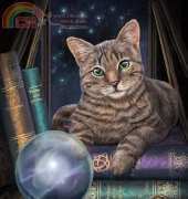 HAED HAELIP 2133 The Fortune Teller by Lisa Parker