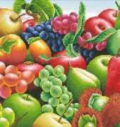 DMC KL0849 Exotic Fruits 03