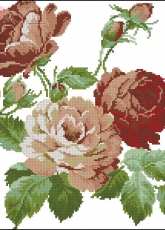 Roses From Kanavice 36 2014/04