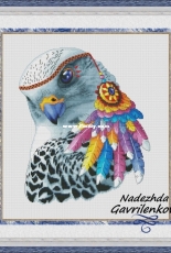 Indian Falcon by Nadezhda Gavrilenkova