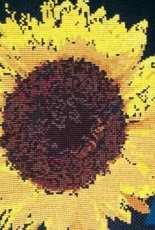 WIP: Sunflower by Ann Logan