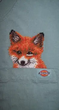 Iskusnica Pocket Fox
