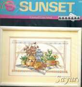 Dimensions 13550 Southwest Still Life