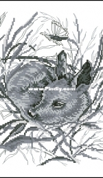 OOE 77602 Bambi XSD