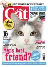 Your Cat-July-2015