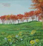 I Love CrossStitch HM-005 - Clear Sky