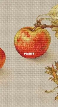 Apples and Nuts-Ekaterina volkova