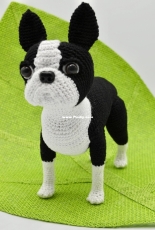 Hugles - Iryna Tyler - Boston Terrier